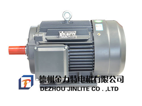 YE2系列高效三相異步電動(dòng)機(jī)