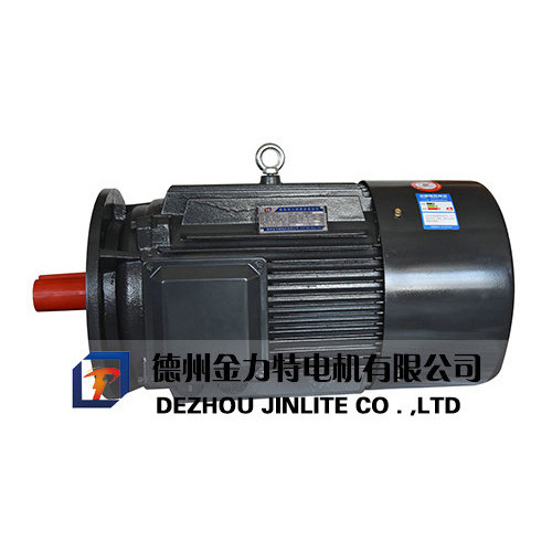 YD系列變極多速三相異步電動(dòng)機(jī)